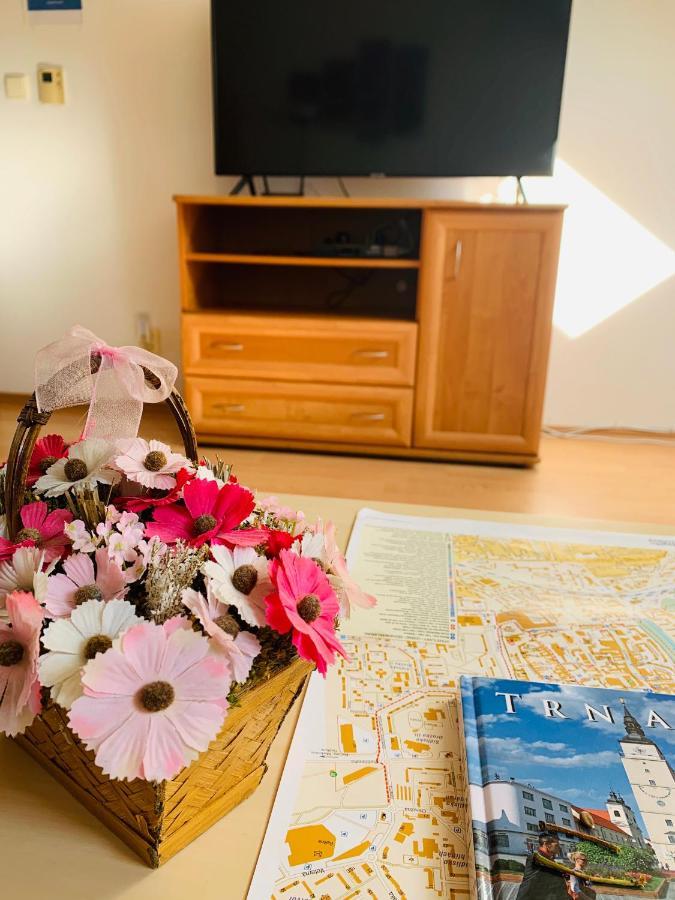 Apartment Pozsonyfehéregyház Kültér fotó